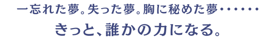 -忘れた夢。失った夢。胸に秘めた夢……。きっと、誰かの力になる。